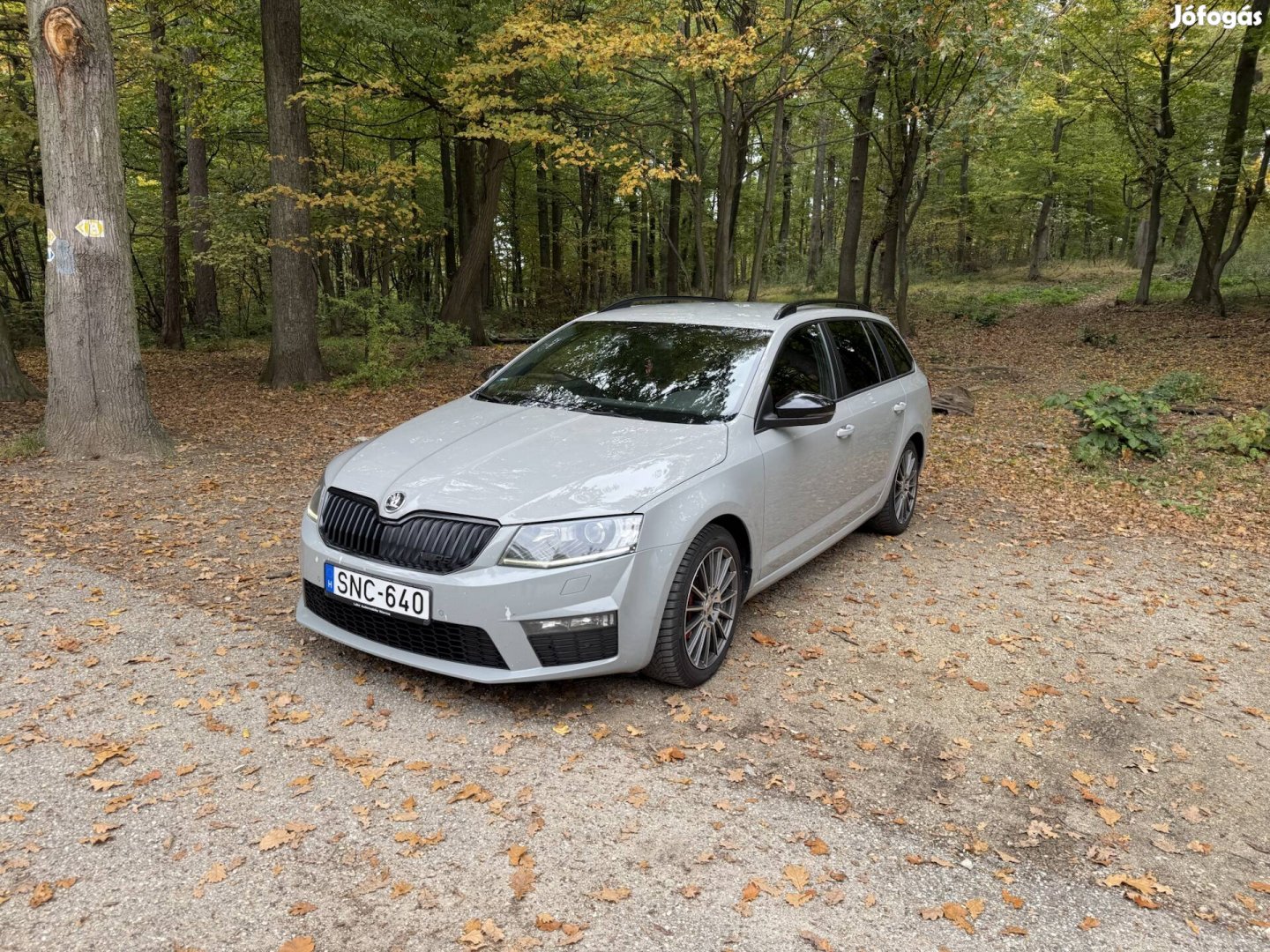 Skoda Octavia RS 2.0 CR TDI
