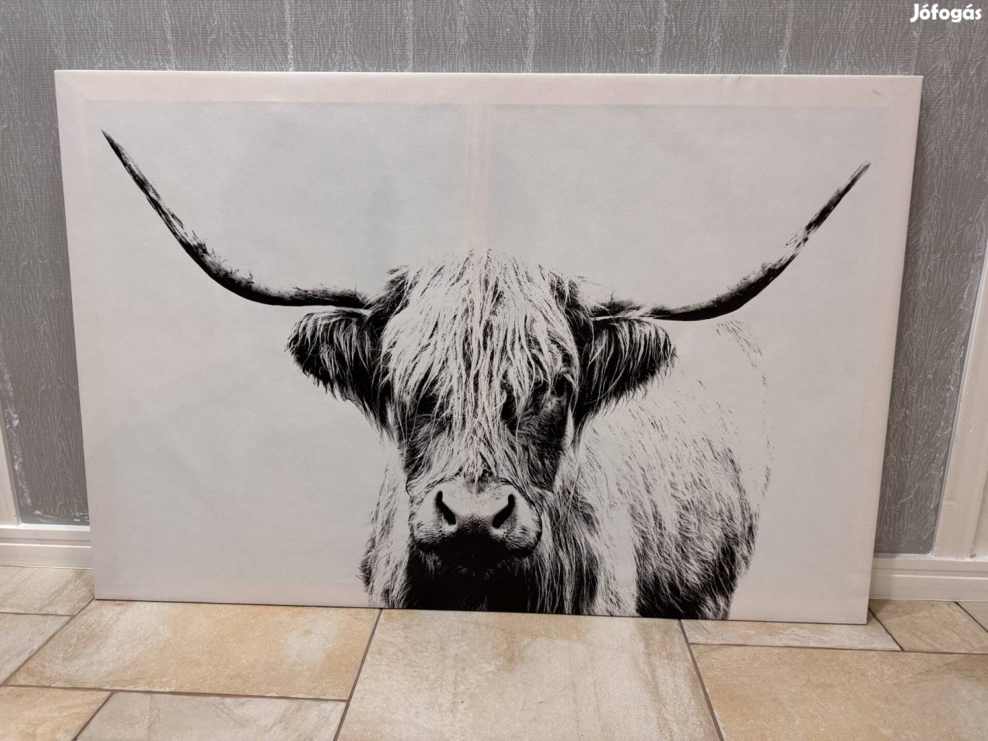 Skót Felföldi marha vászonkép fa keretre feszítve 118cm x 78cm