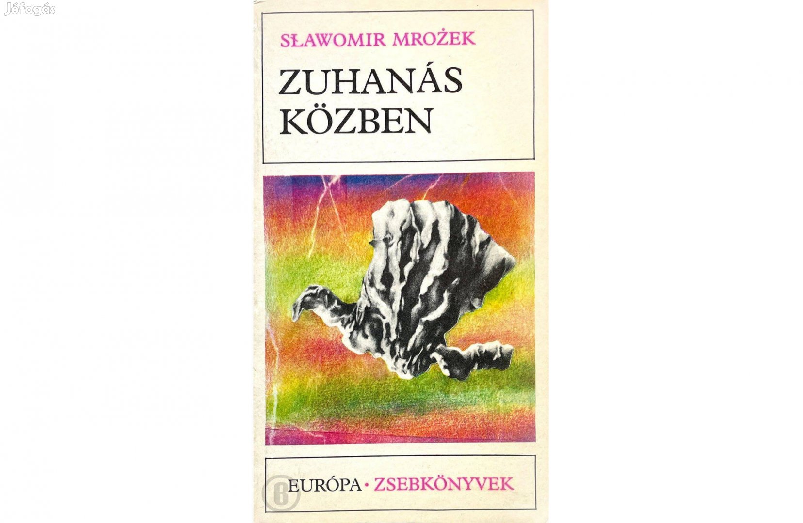 Slawomir Mrozek: Zuhanás közben