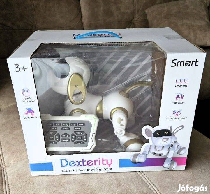 Smart dog with a remote control