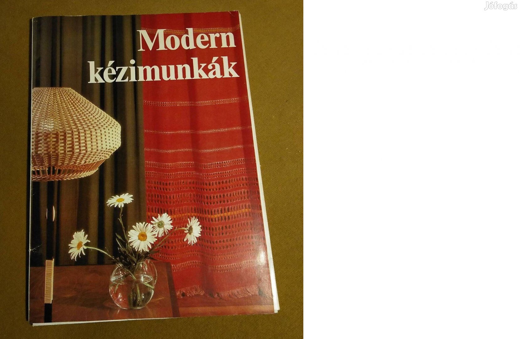 Soltész Nagy Anna Modern lakás - modern kézimunkák Könyv,