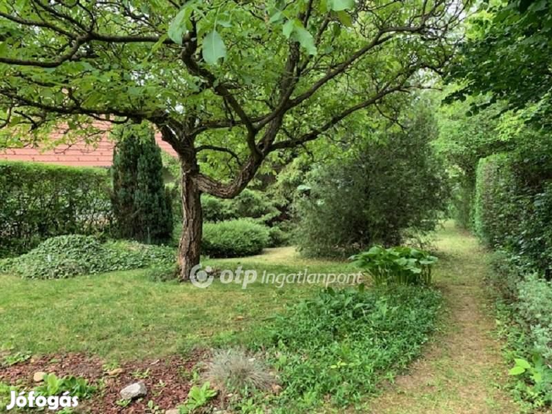 Solymári 40 nm-es ház eladó