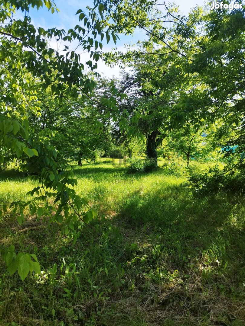 Solymári eladó telek
