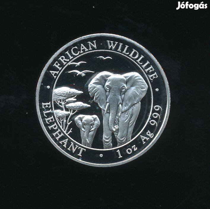 Somalia 1 oz ezüst 2015, Elefant