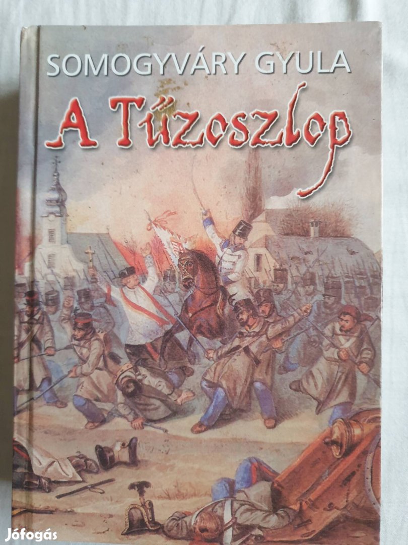 Somogyváry Gyula: A  tűzoszlop Xl.ker 