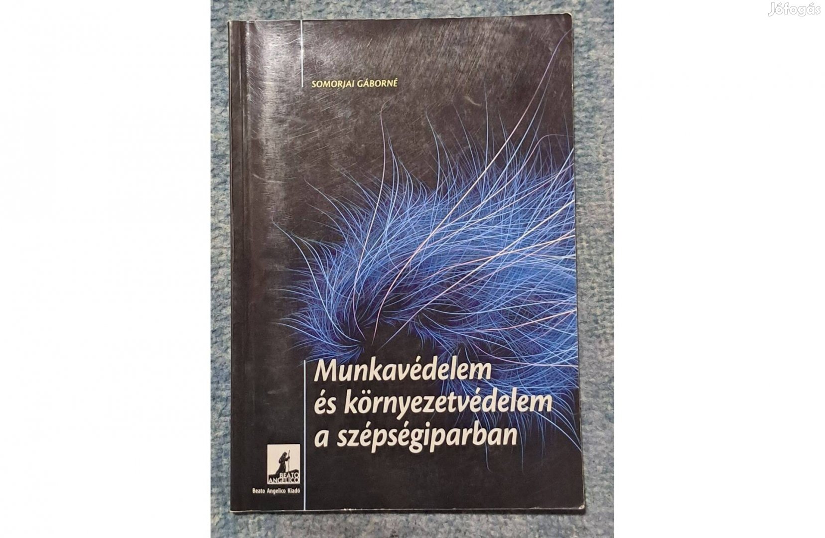 Somorjai Gáborné Munkavédelem és környezetvédelem a