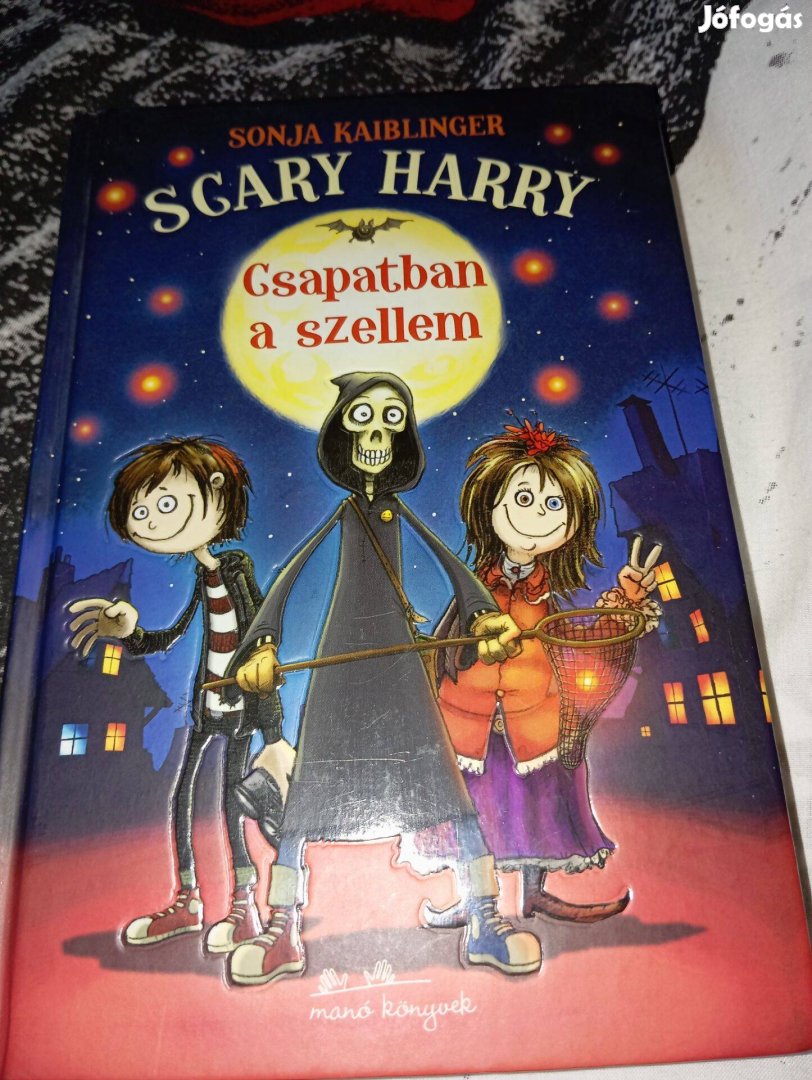 Sonja Kaiblinger: Csapatban a szellem (Scary Harry 1.)