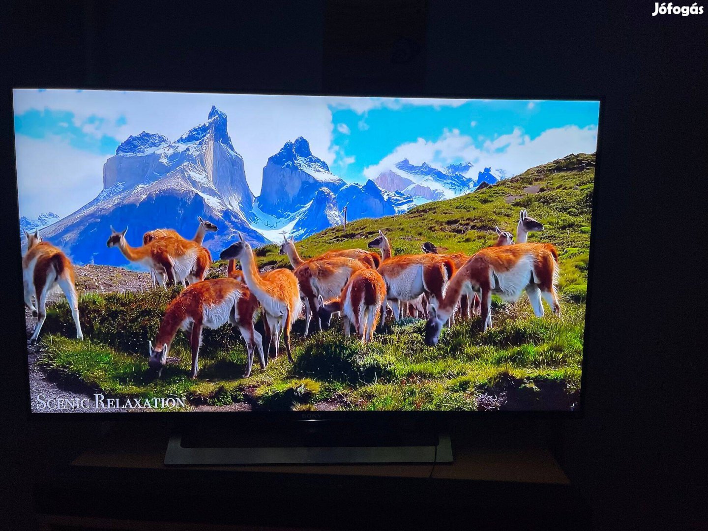 Sony 49XD8305 UHD SMART 100 HZ TV Eladó