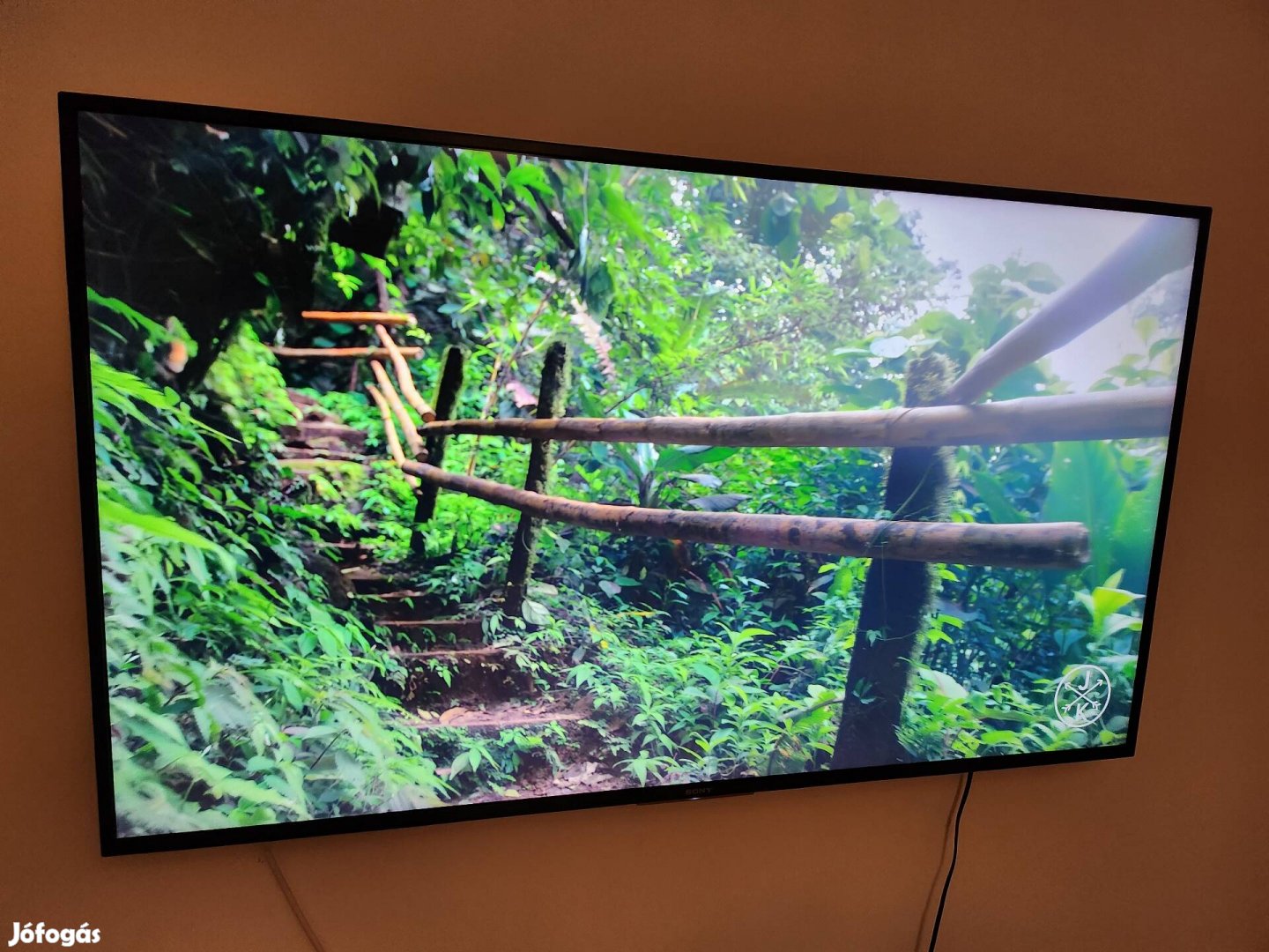 Sony 4k Smart TV 139cm / Csúcskategóriás