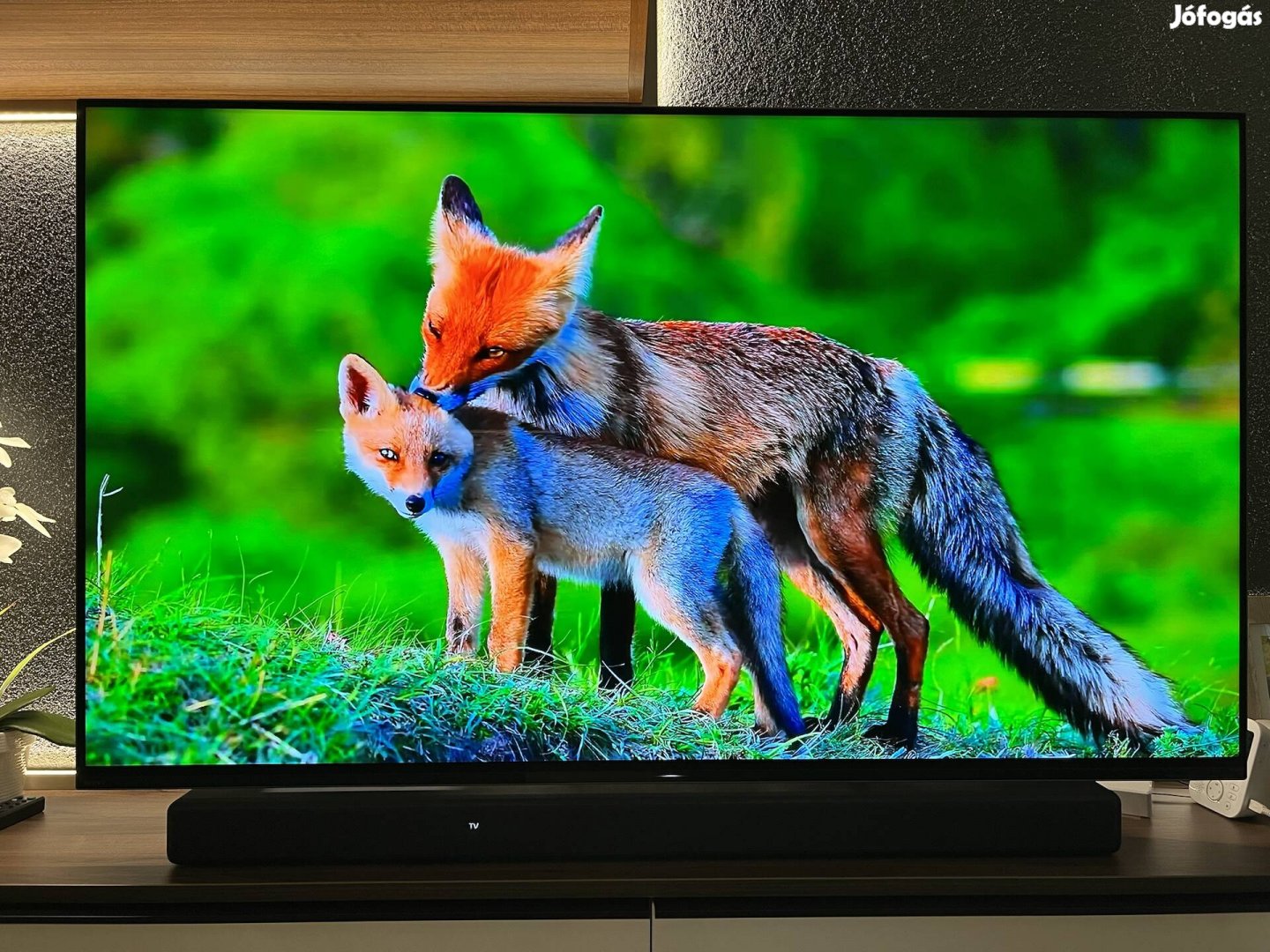 Sony Bravia 4K Oled Tv Android 55" 139cm