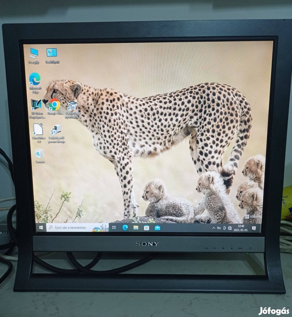 Sony SDM-HS95 - 19" LCD monitor