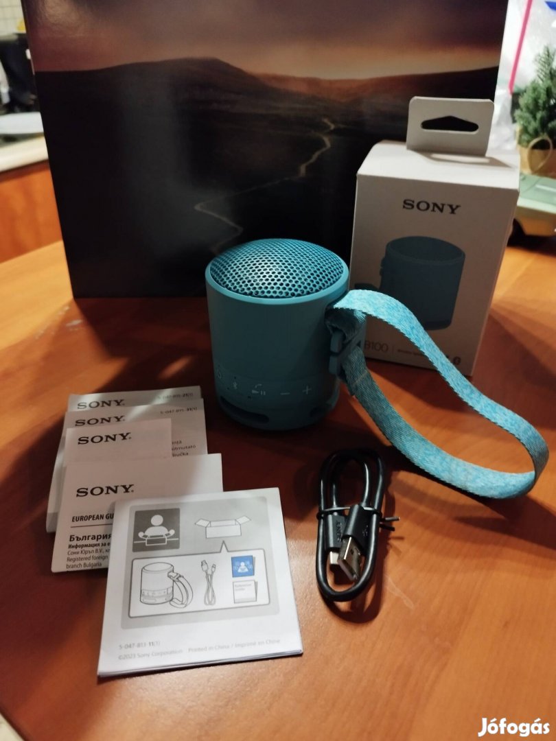 Sony SRS-XB100