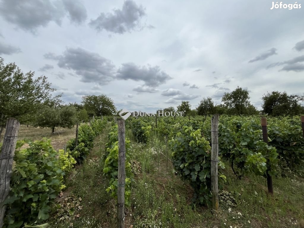 Soponyai 3467 nm-es telek eladó