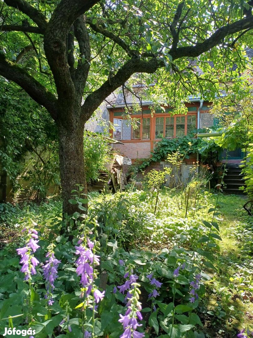 Sopronban békebeli ház szép kerttel eladó