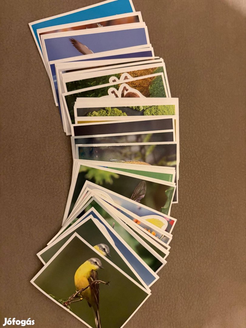 Spar Mentsük meg a bolygót matrica