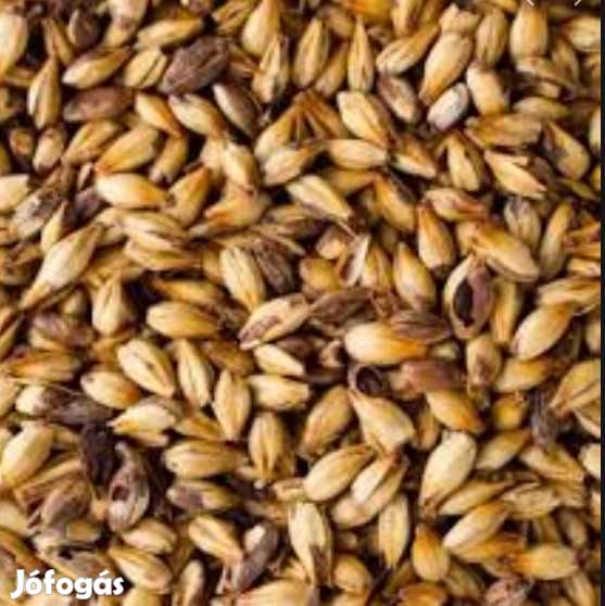 Special B Maláta 350 EBC 1kg  (455)