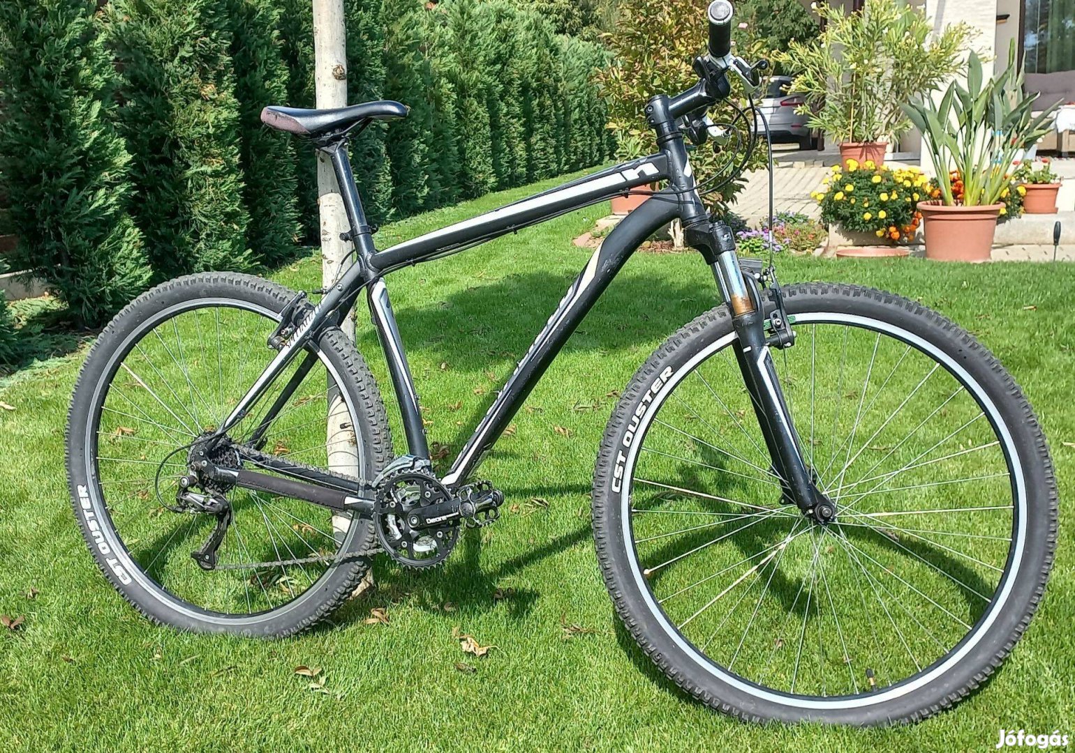 Specialized 29"-os MTB kerékpár eladó