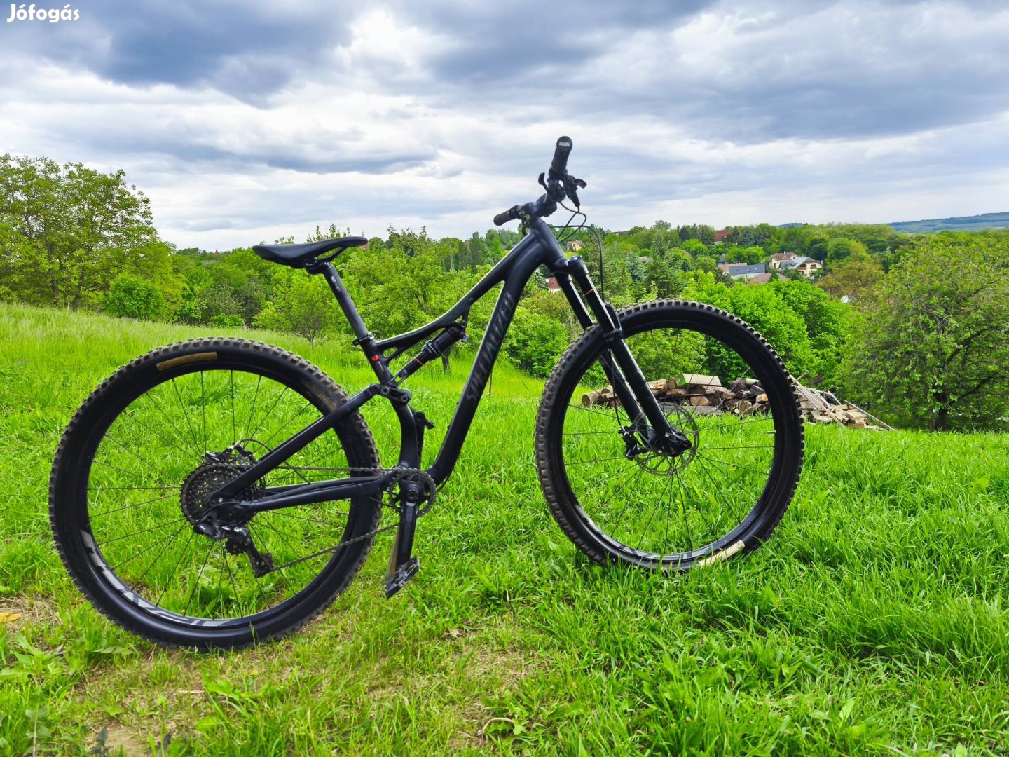 Specialized Stumpjumper FSR Comp 29 