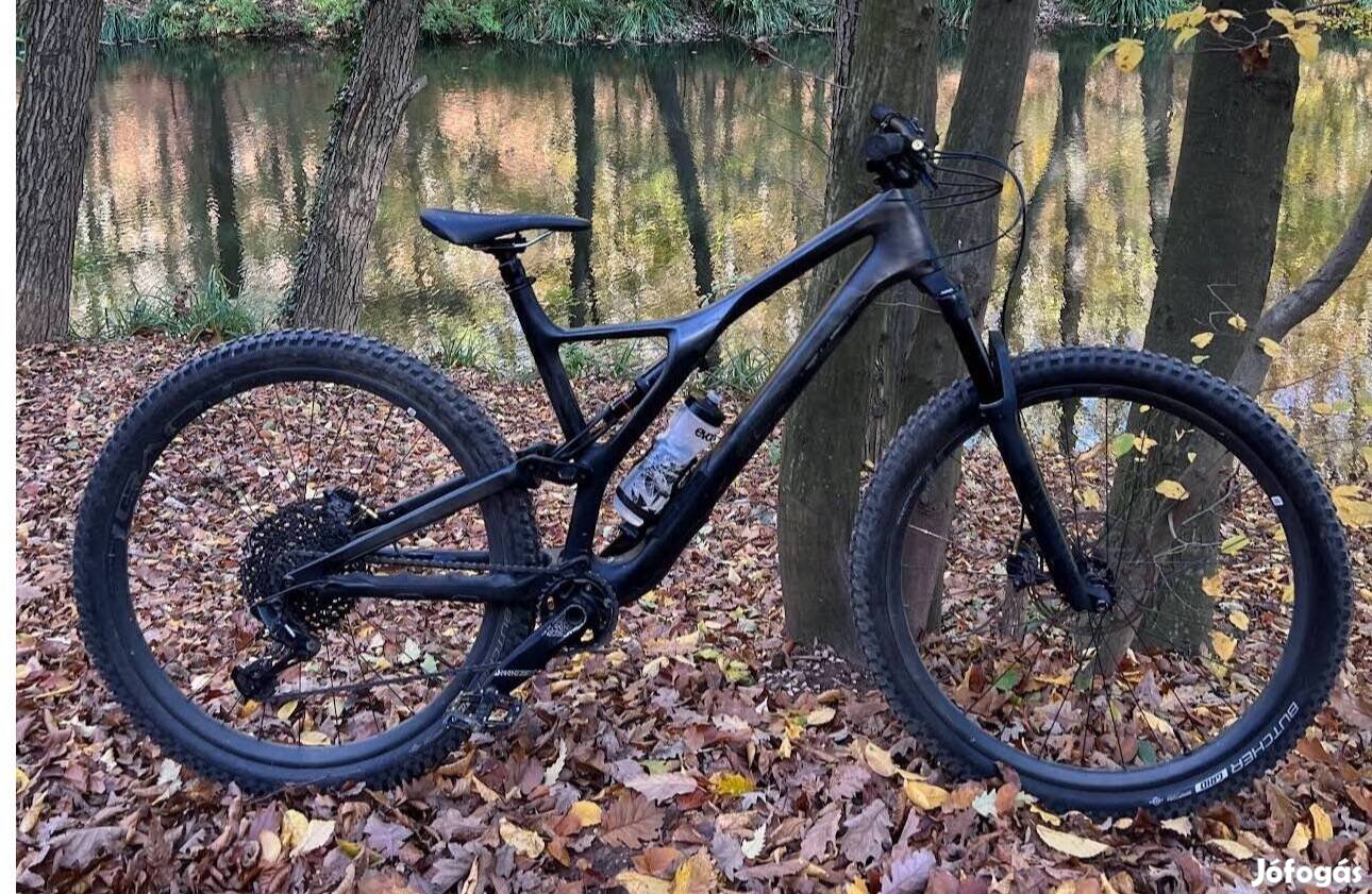 Specialized Stumpjumper ST Expert 29 Carbon Fiber