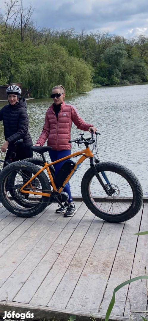 Specialized fatbike ebike bafang