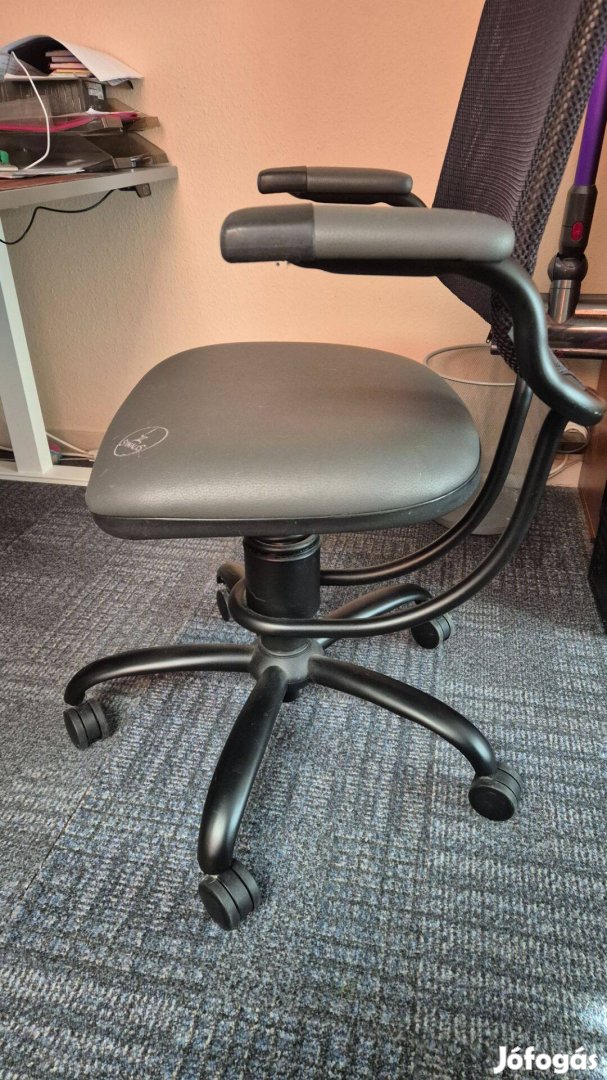 Spinalis Ergonomic szék