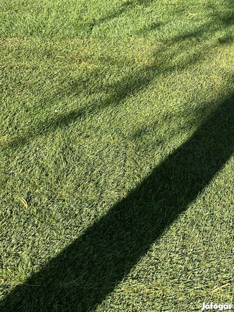 Sport gyepszőnyeg