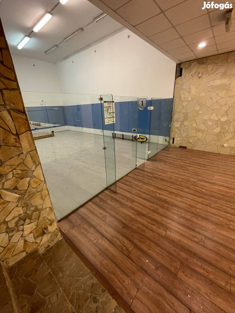 Squash/fallabda üvegfal eladó