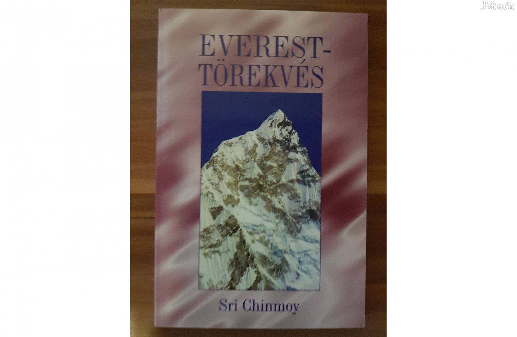 Sri Chinmoy - Everest Törekvés
