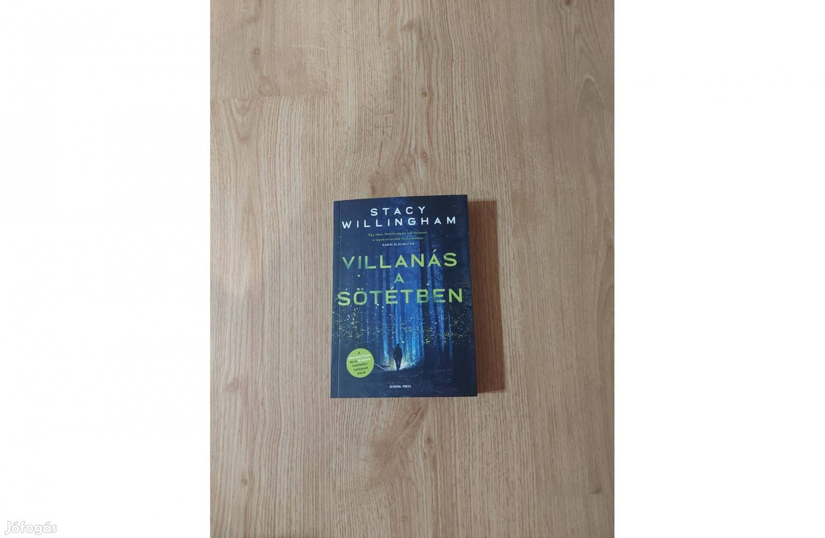 Stacy Willingham Villanás a sötétben