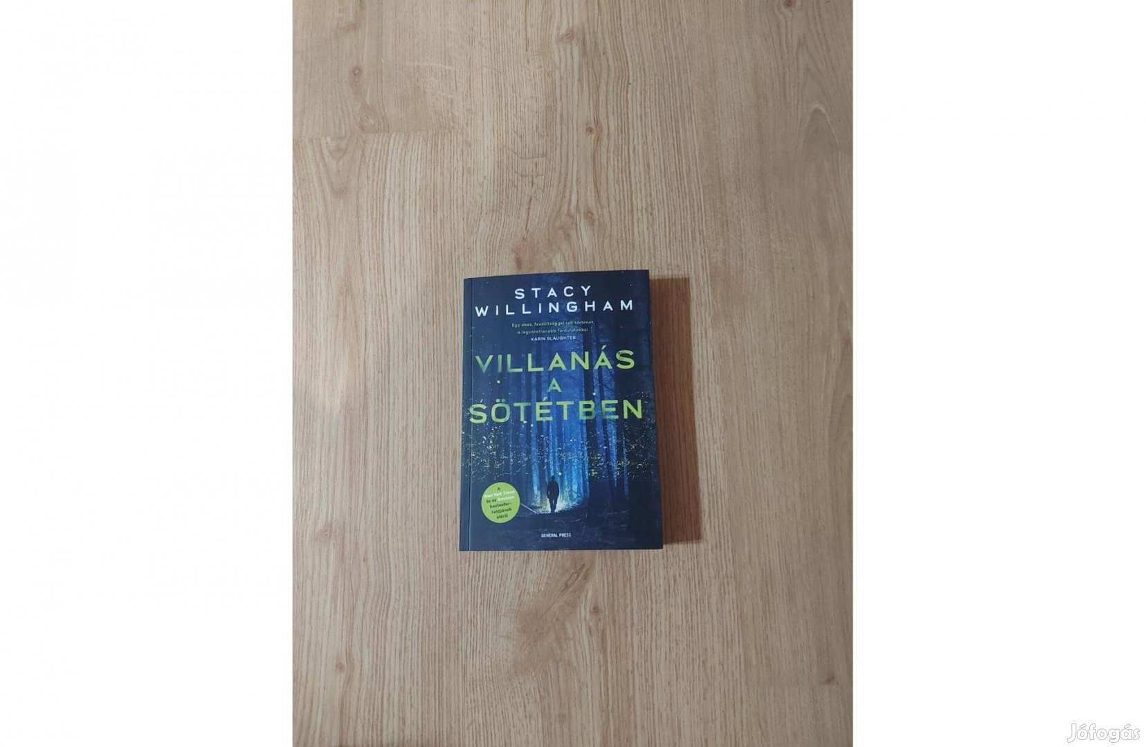 Stacy Willingham: Villanás a sötétben