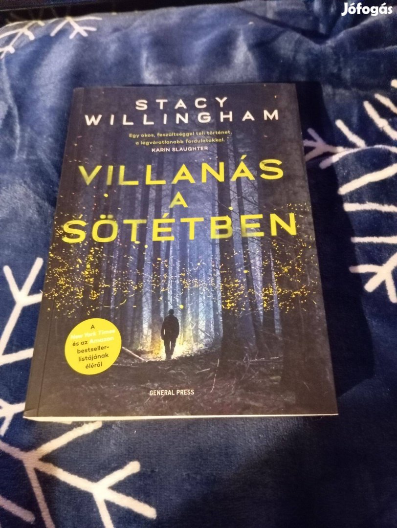 Stacy Willingham: Villanás a sötétben