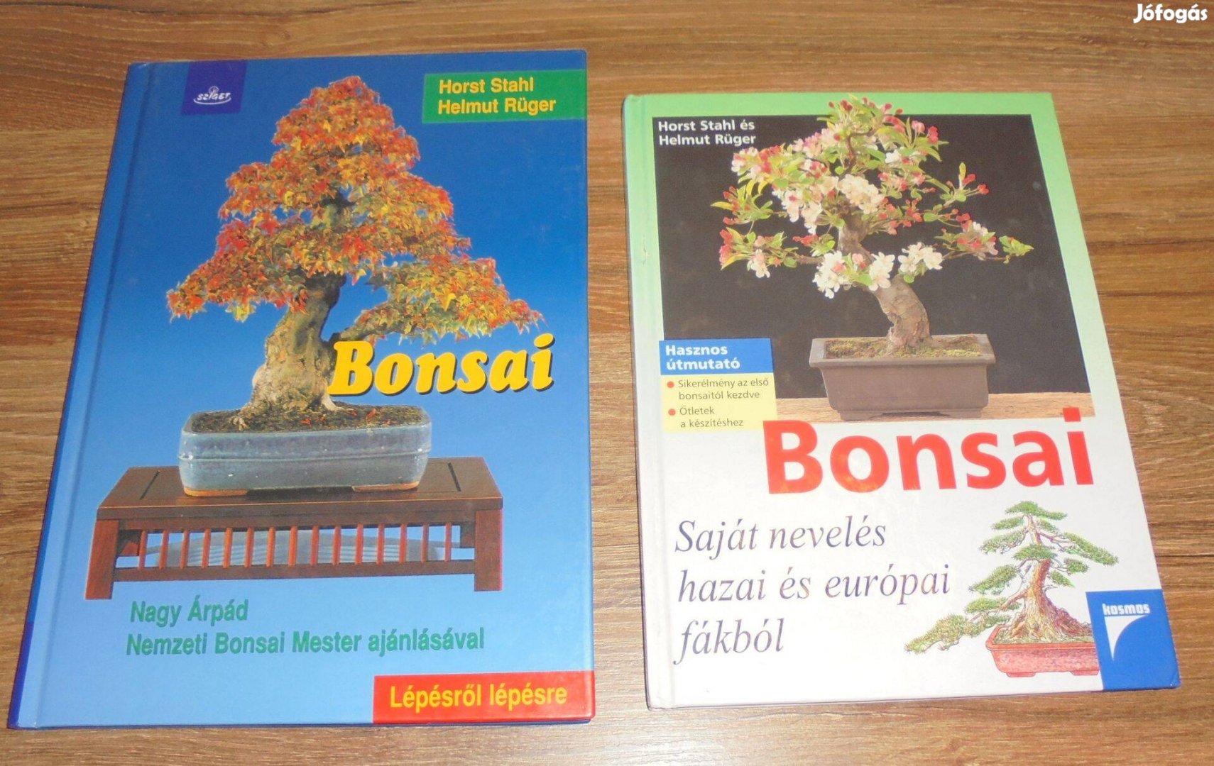 Stahl -Rüger Bonsai (Lépésről lépésre) + Bonsai - Saját nevelés hazai