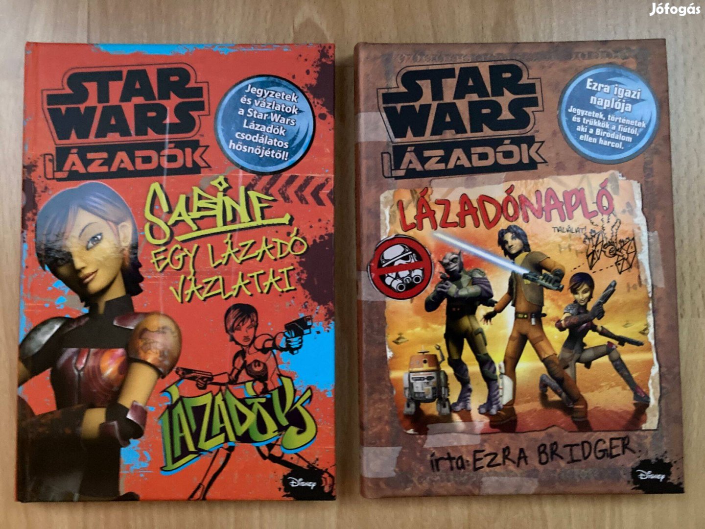 Star Wars Lázadónapló, Sabine, egy lázadó vázlatai