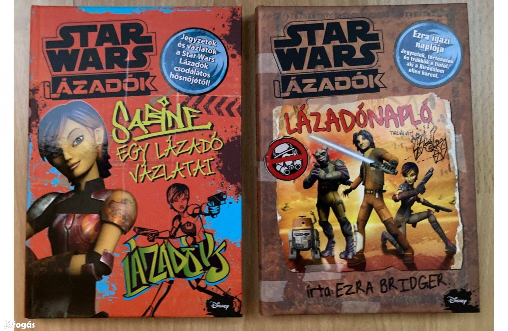 Star Wars Lázadónapló, Sabine, egy lázadó vázlatai