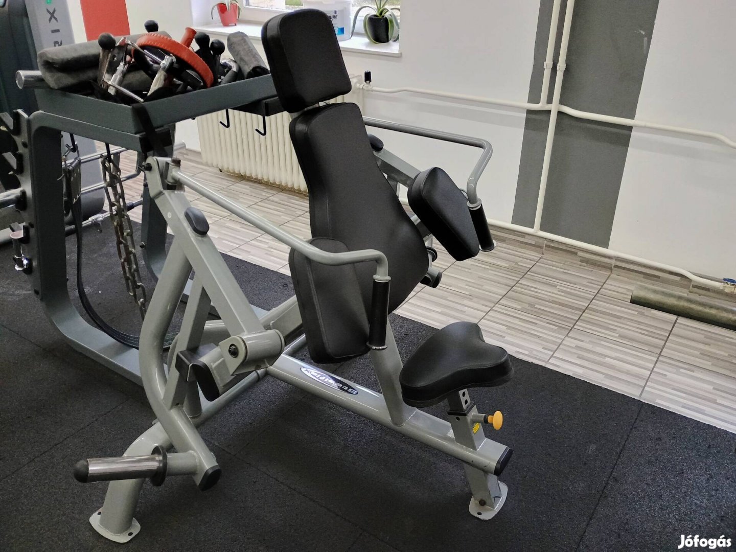 Steelflex tricepsz gép 