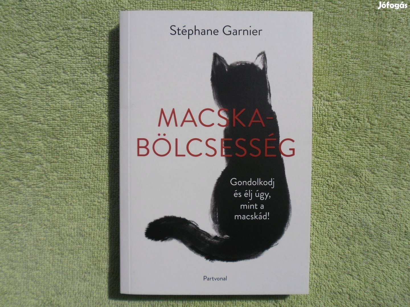 Stéphane Garnier: Macskabölcsessé