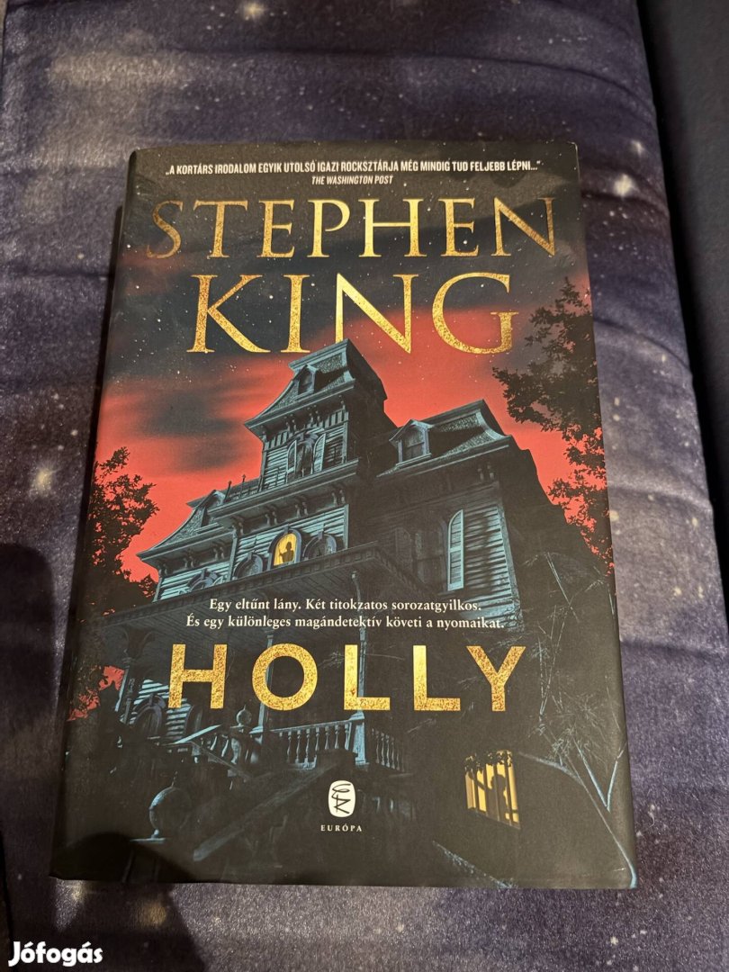 Stephen King: Holly