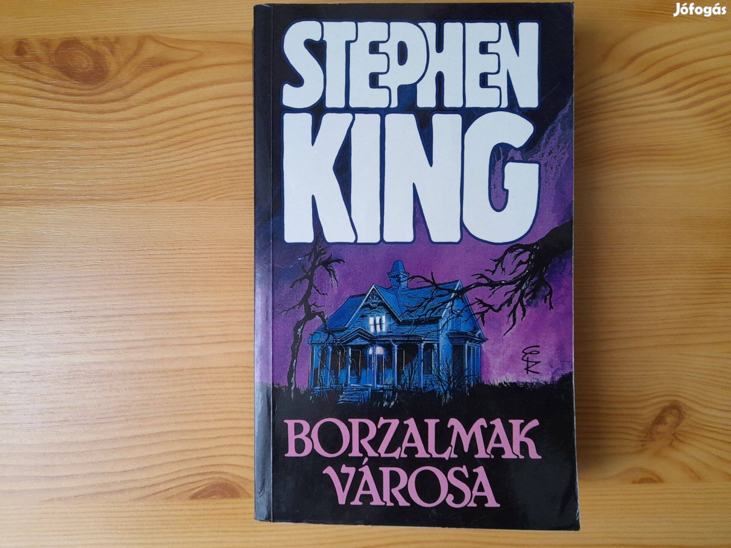 Stephen King - Borzalmak városa