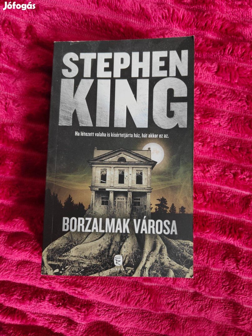 Stephen King - Borzalmak városa könyv (Salem's Lot)