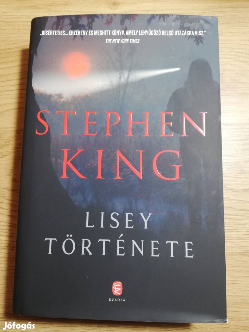 Stephen King : Lisey története 