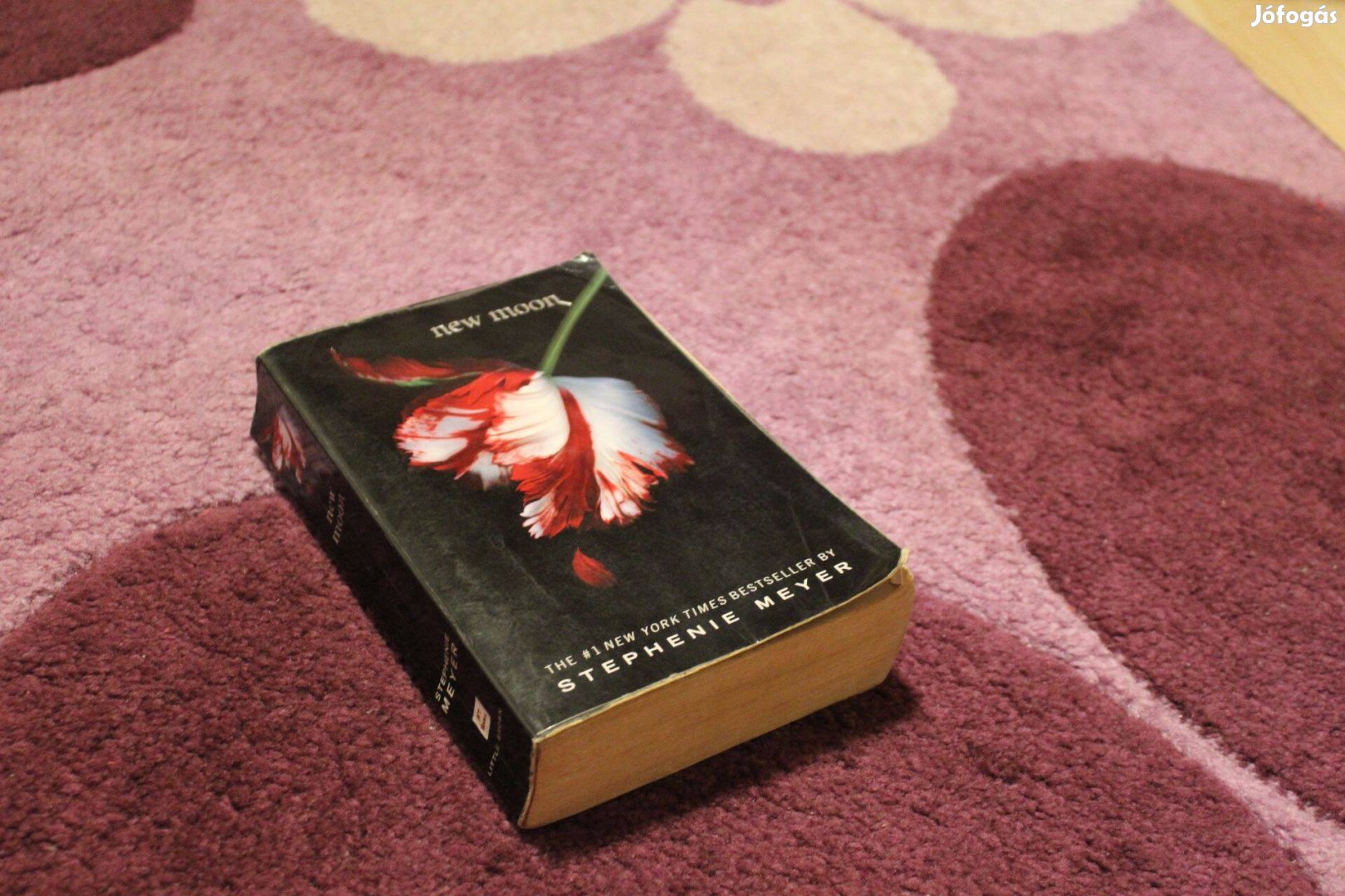 Stephenie Meyer: New moon