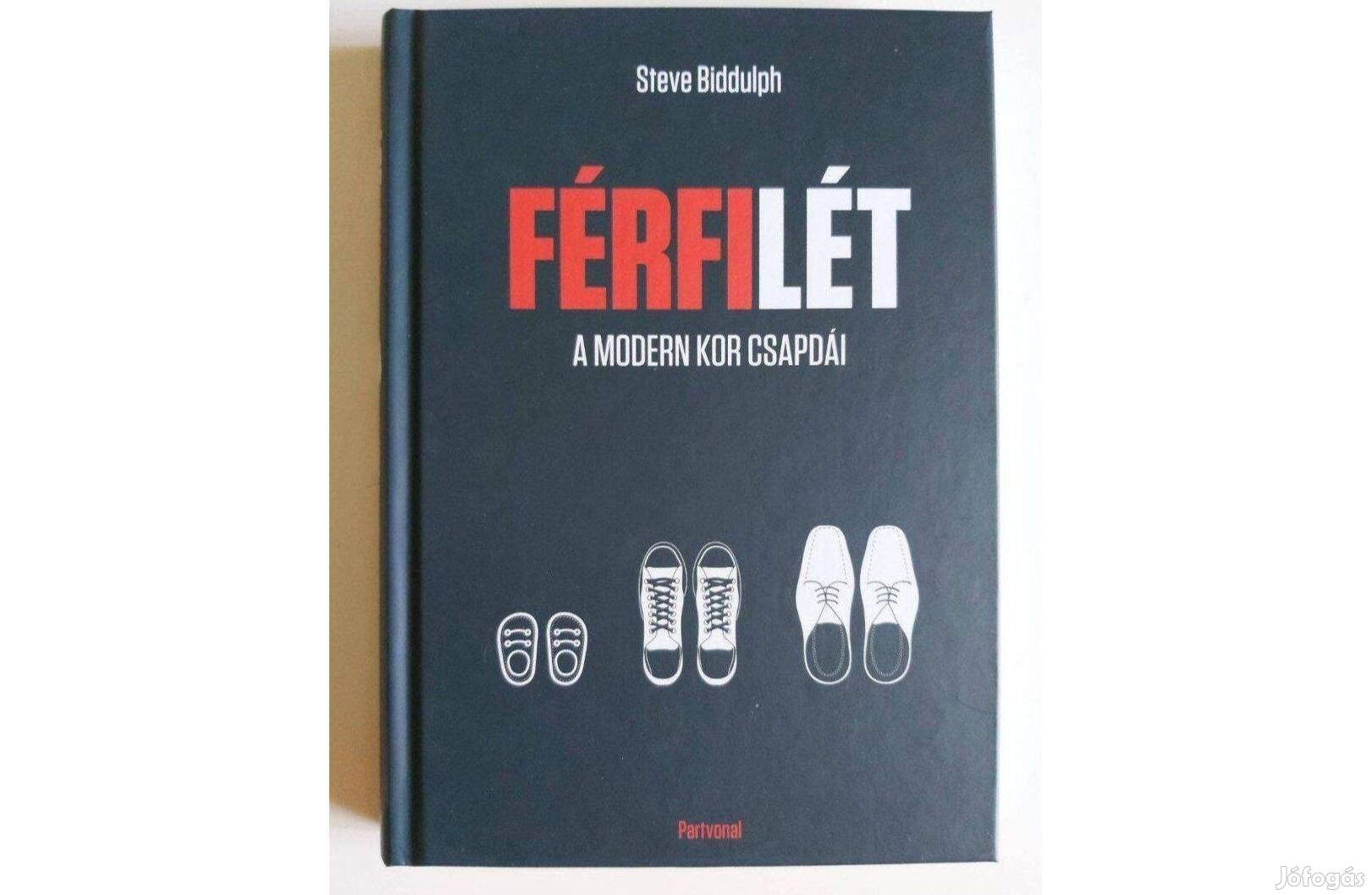 Steve Biddulph: Férfilét