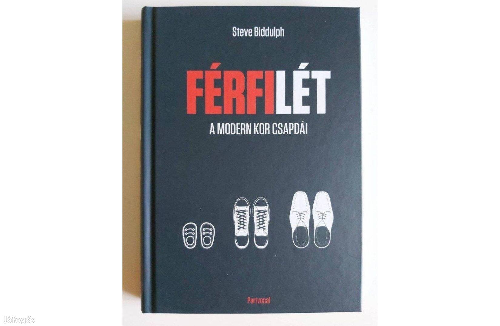 Steve Biddulph: Férfilét