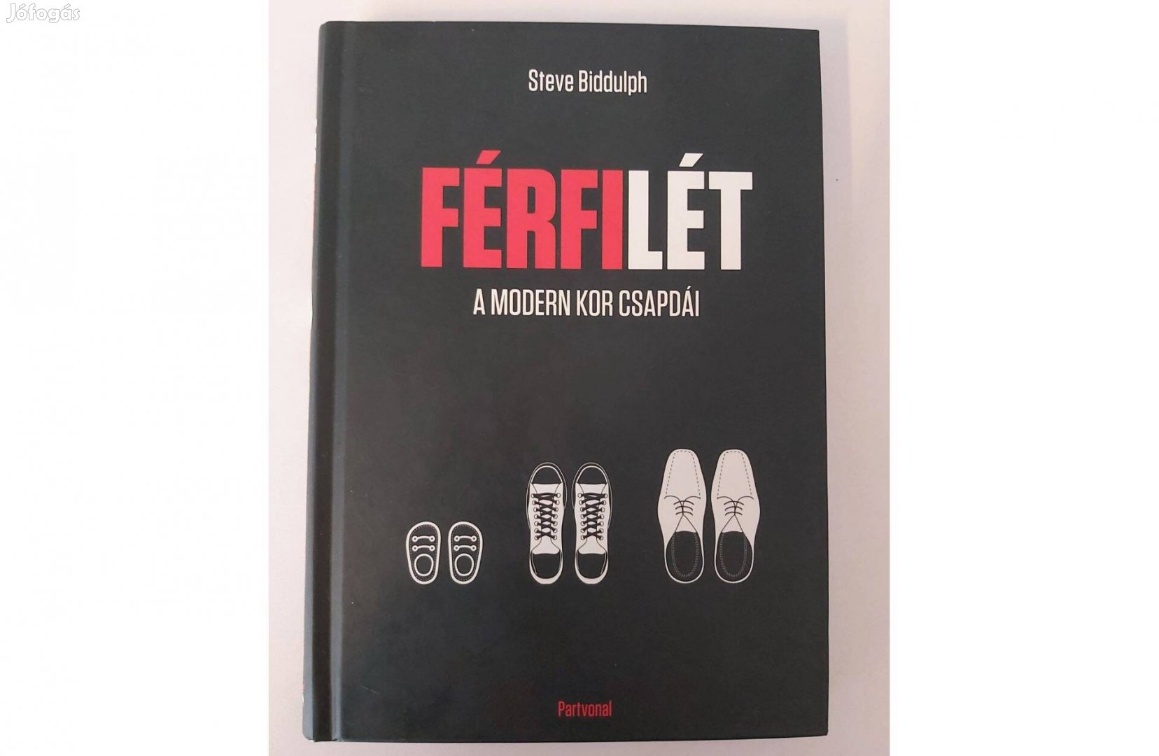 Steve Biddulph: Férfilét (A modern kor csapdái)