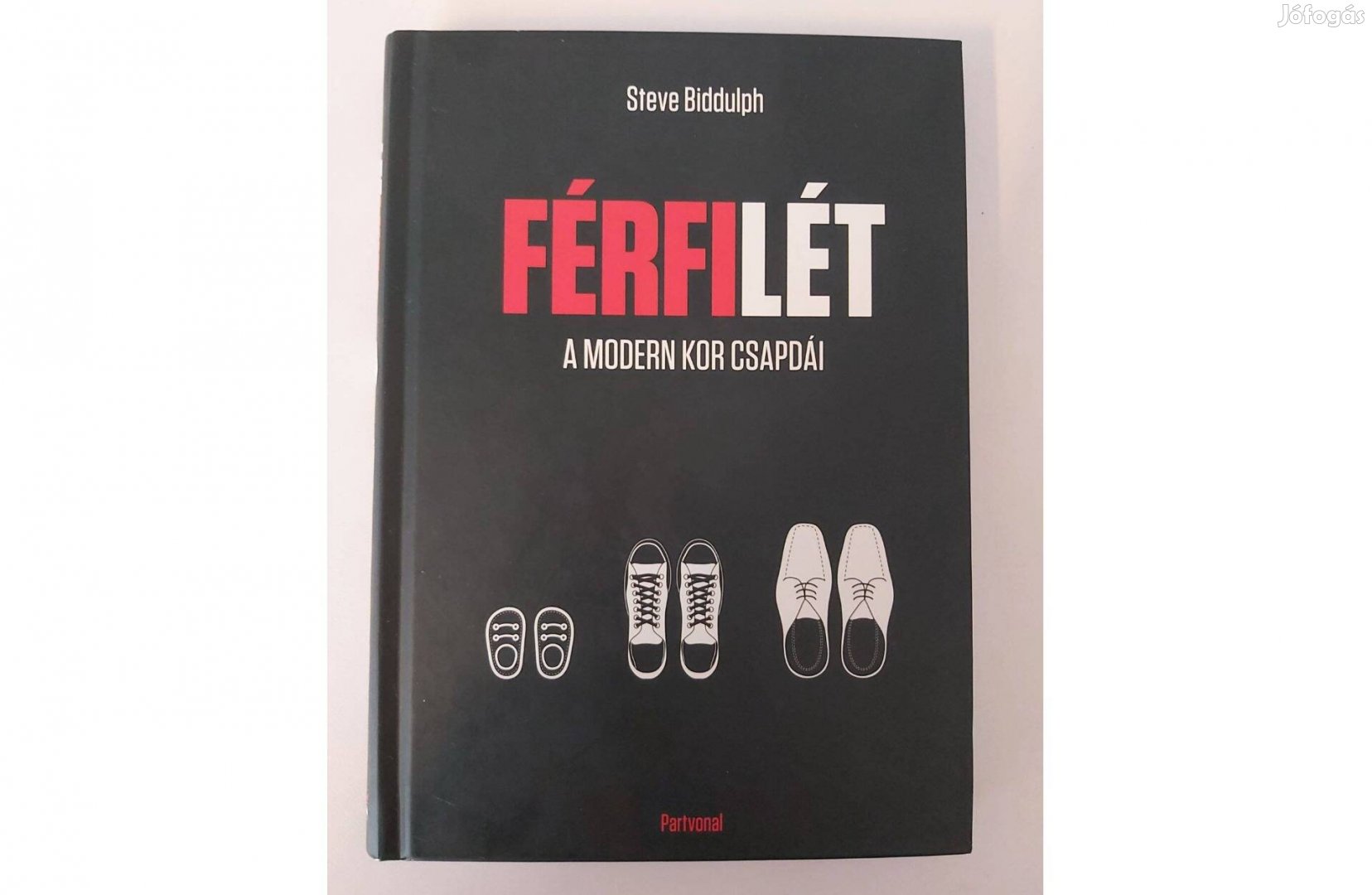 Steve Biddulph: Férfilét (A modern kor csapdái)
