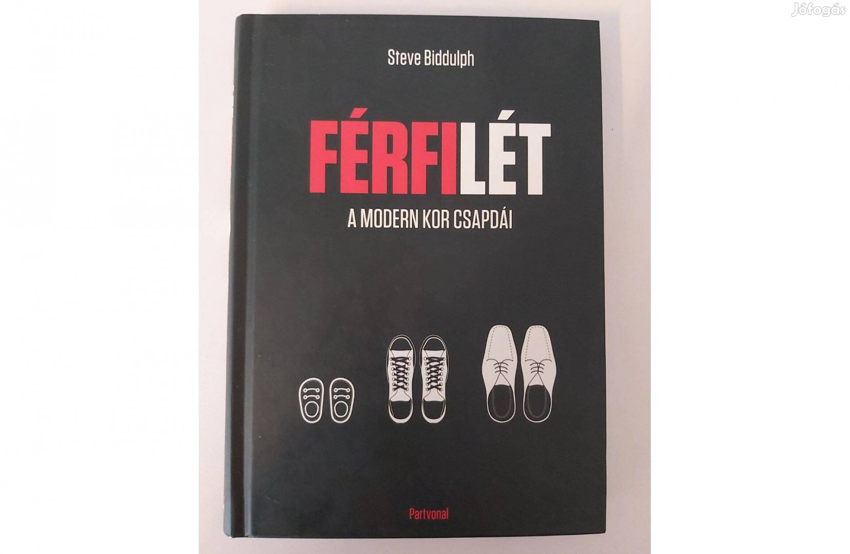 Steve Biddulph: Férfilét (A modern kor csapdái)