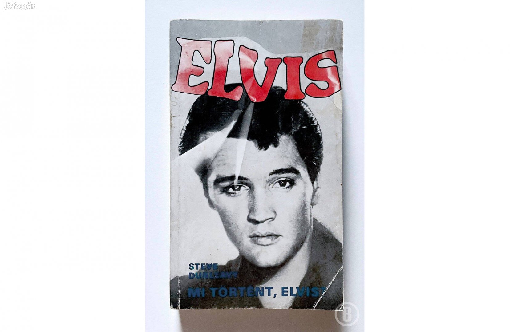 Steve Dunleavy: Mi történt, Elvis?
