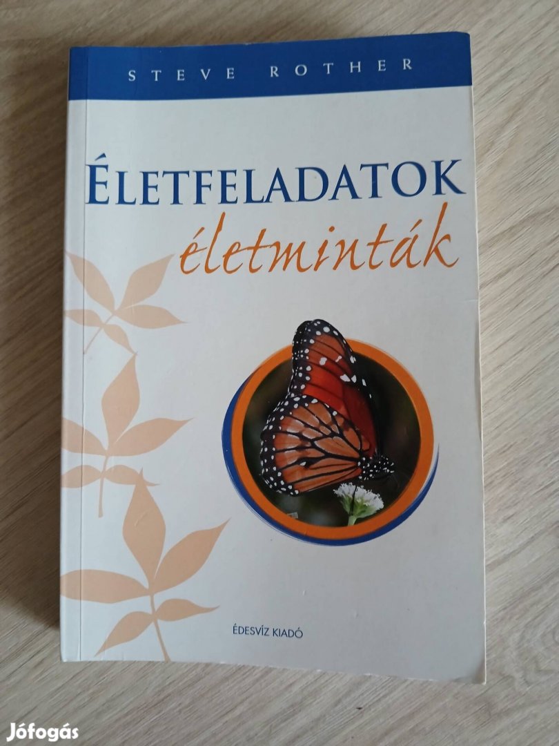 Steve Rother: Életfeladatok, életminták