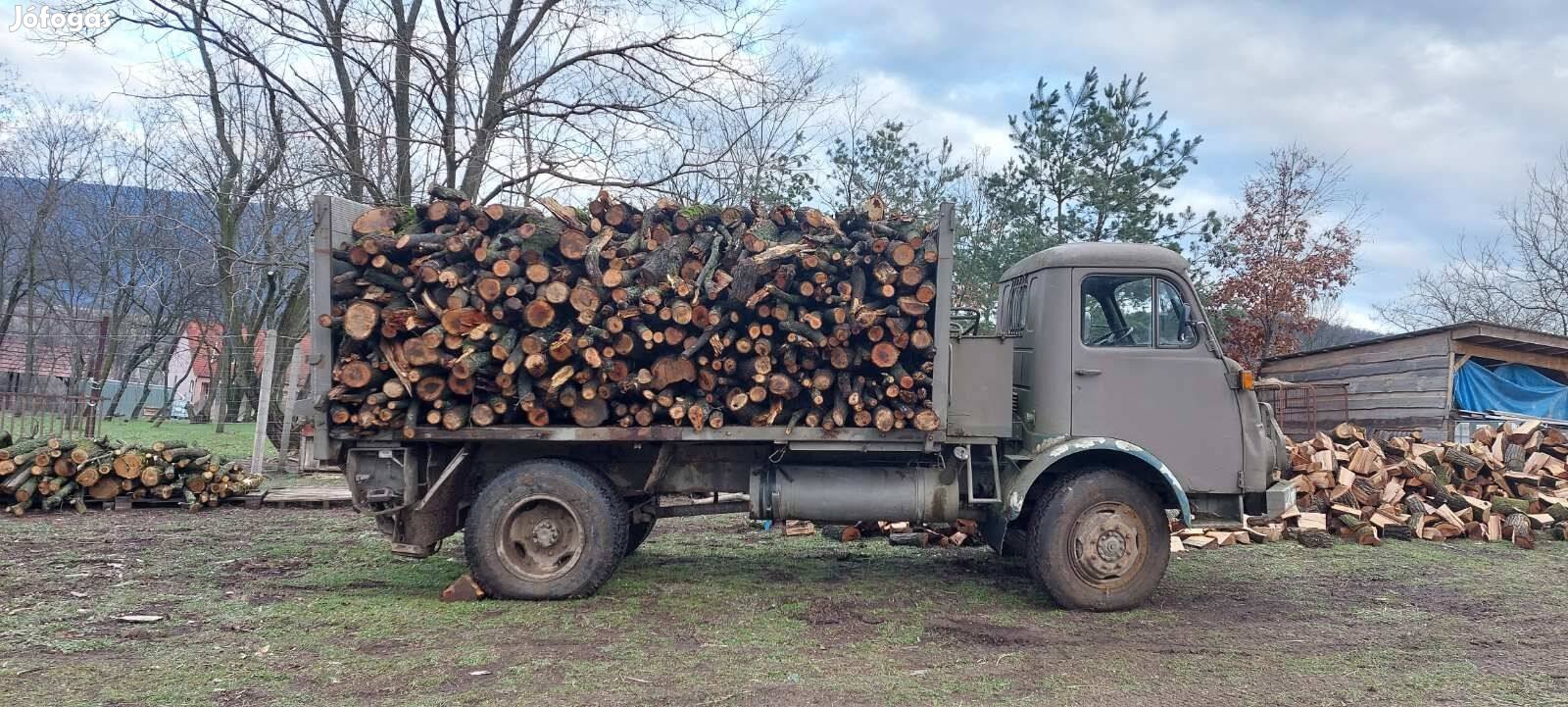 Steyr, Steyer közelítő 4x4 terepes 