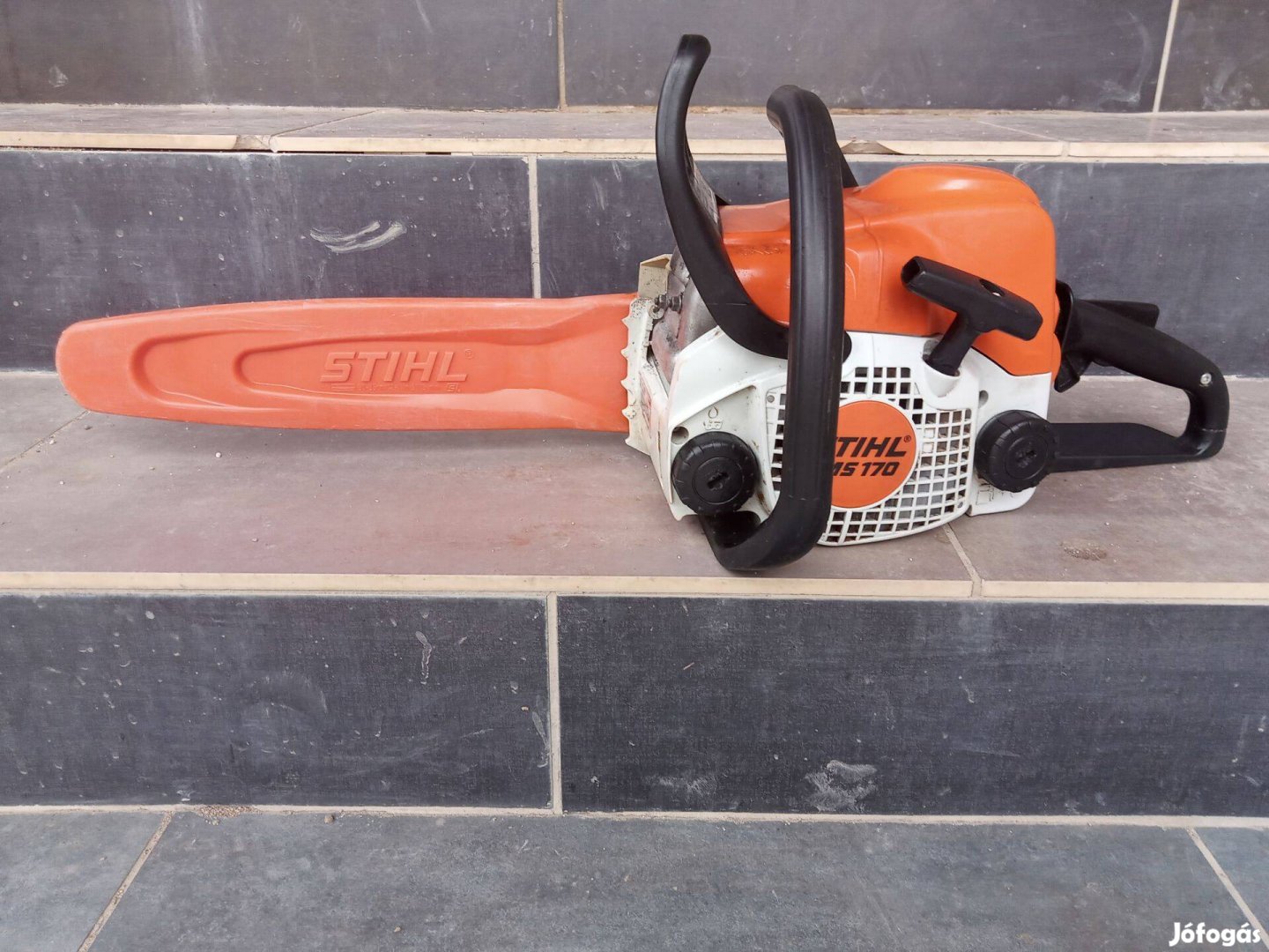 Stihl Ms 170